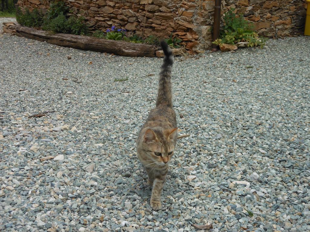 Le Lasarde Farm stay
