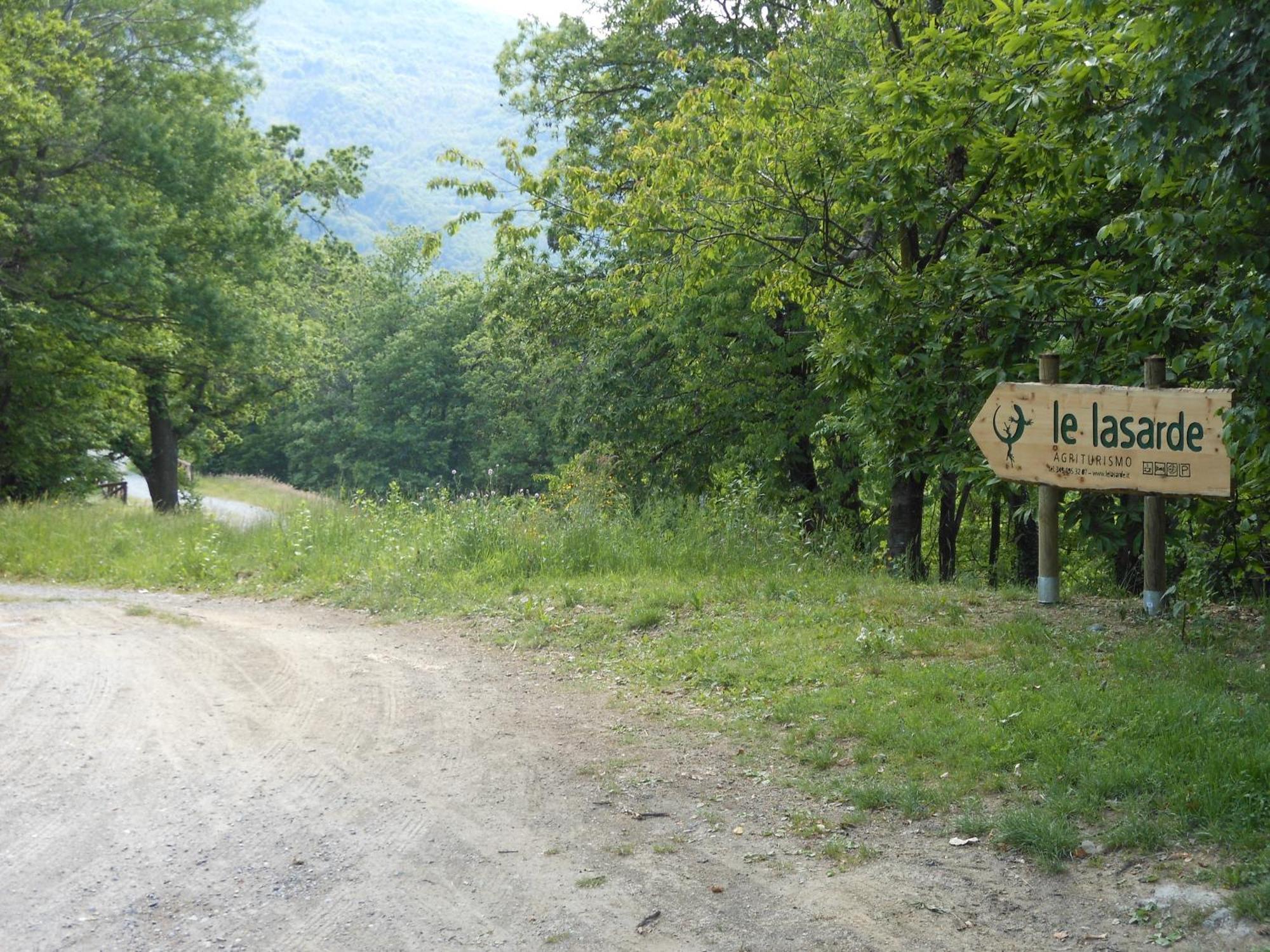 Farm stay Le Lasarde *